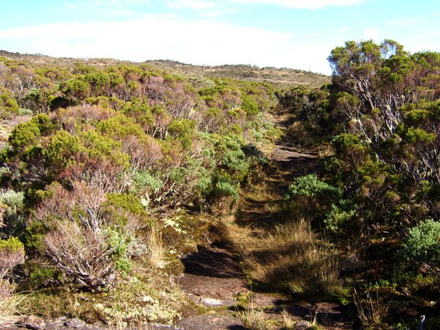Le sentier file longuement vers la Caverne Soldat avant de partir vers la Roche Ecrite