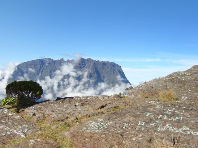 Un grand livre à ciel ouvert mais peu de poésie !