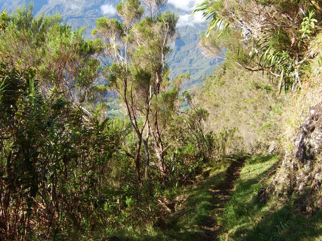 Sentier toujours en bon état car très fréquenté
