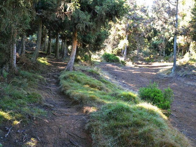 Le sentier est parallèle à la piste