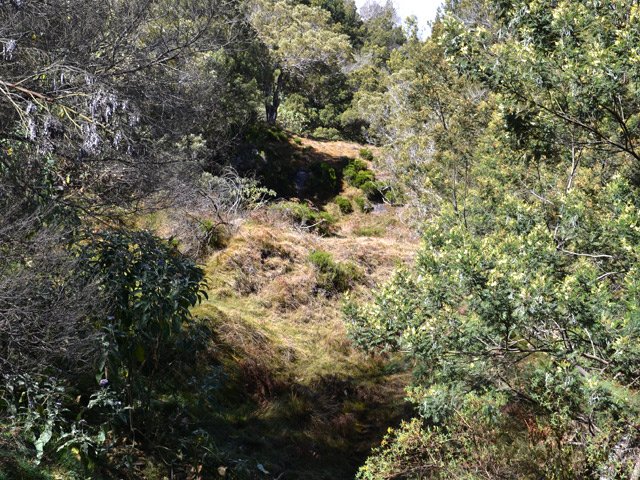 On traverse une ligne coupe-feu