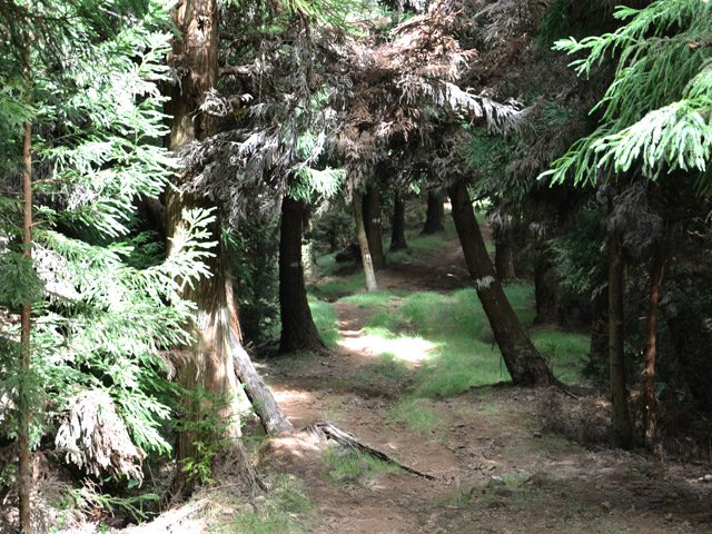 Une autre portion de la ligne de la Grande Ravine