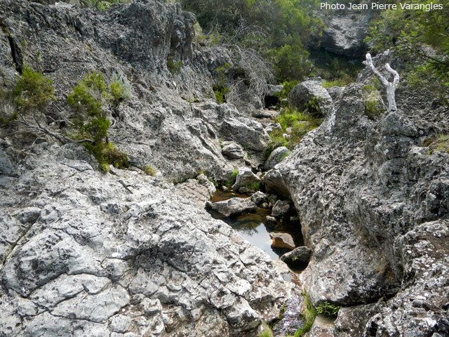 Le fond basaltique du Petit Bras de la Grande Ravine