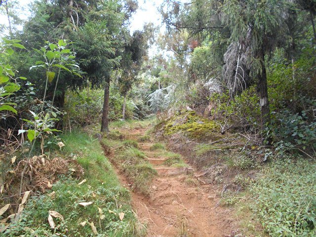 Choisir entre le sentier et les escaliers