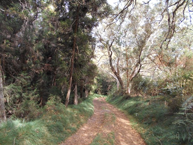 Très agréable piste par endroits