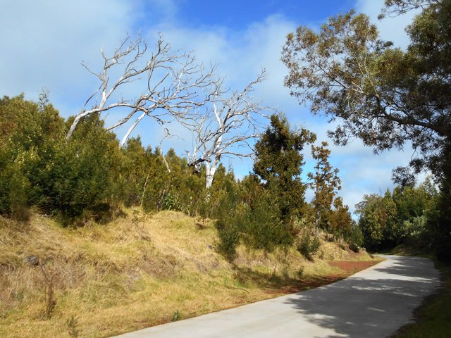Agréable balade reposante le long de la RF des Tamarins