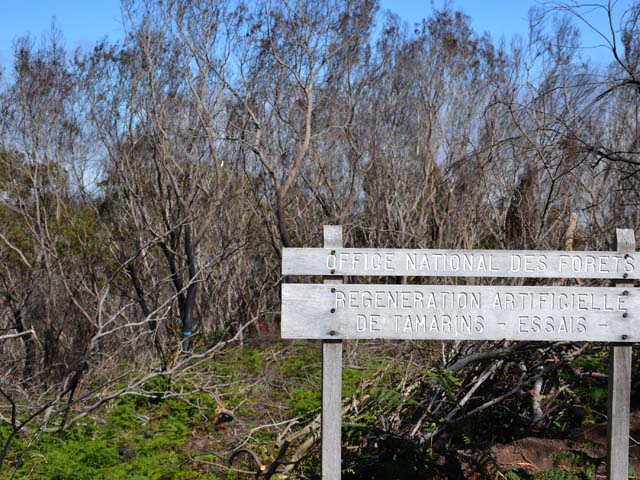 L'essai, hélas, n'aura pas duré