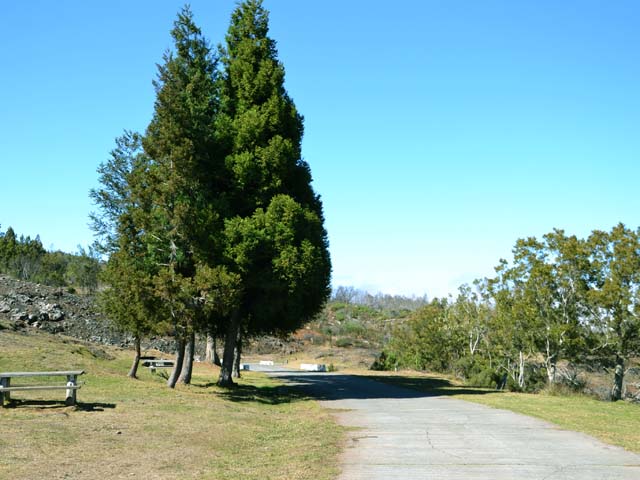 La Route Forestière des Tamarins pour se reposer de la montée