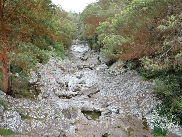 Le fond rocheux de la Grande Ravine, loin de la Grande Cascade de Cocâtre