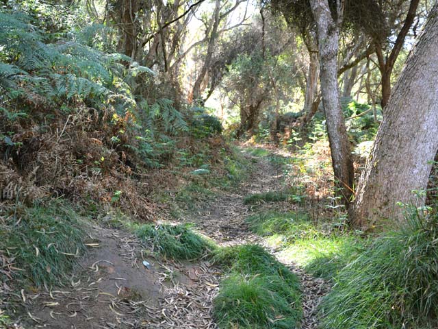 Le sentier VTT, parallèle à la Piste