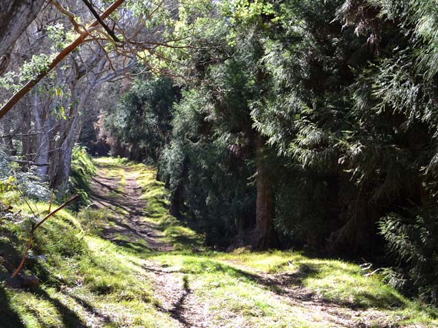 Une autre partie du sentier à quelques mètres de la piste