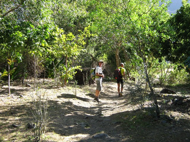 La plantation faite par les enfants de l'école de Grand Place