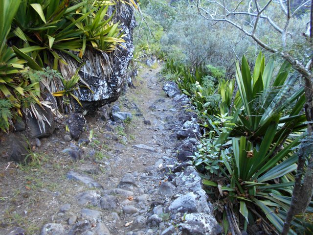 Portion pierreuse vers la Passerelle sur le Bras d'Oussy