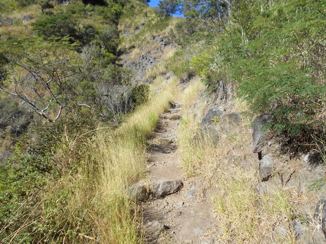 Le sentier le long des flancs du Piton Tortue