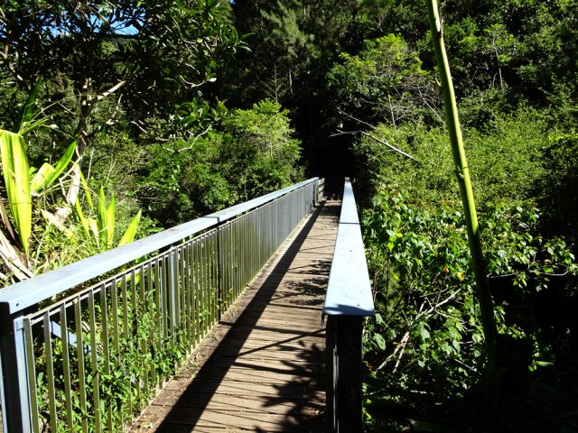 La passerelle sur le Bras Bémale