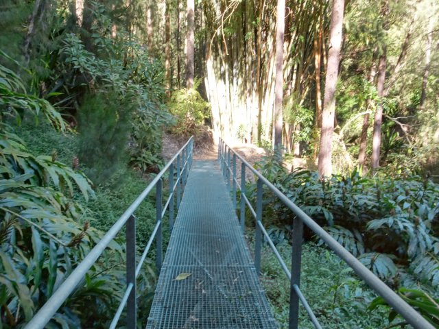 La passerelle pour quitter l'Îlet à Bourse