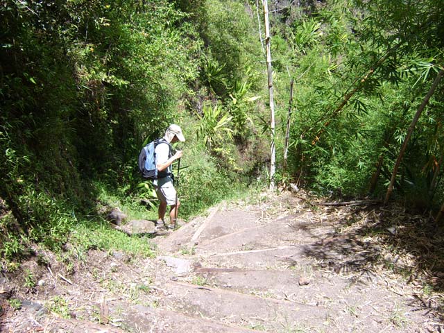 Quelques portions de la descente sont assez raides, mais les marches de qualité