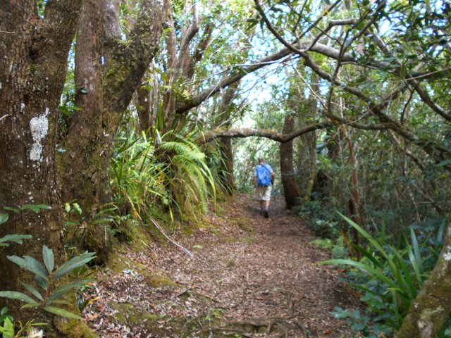 Le parcours vers le belvédère est une balade