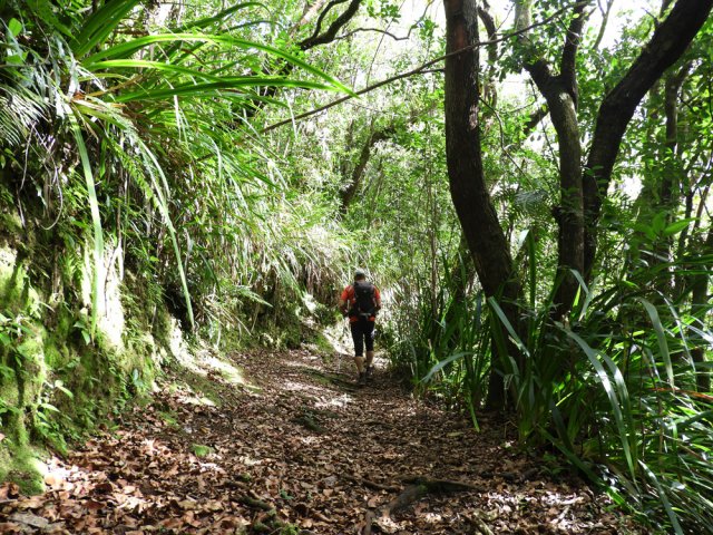Le sentier ombragé est un réel plaisir