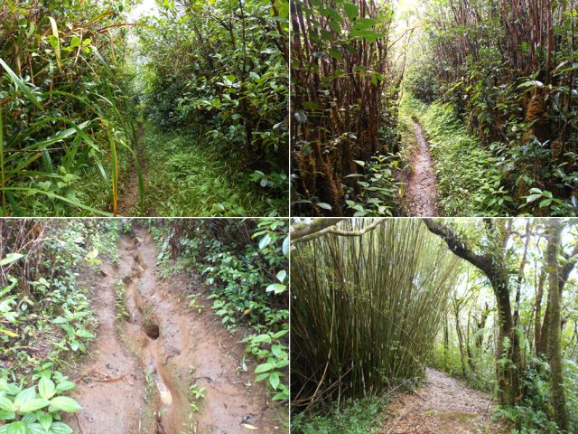 Quelques idées du sentier descendant vers la Caroline