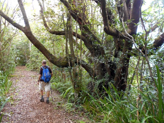 Plus bas, le sentier s'élargit après celui de Terre Rouge