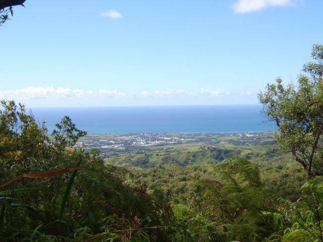 Points de vue sur Bras Panon et l'océan en fin de sentier
