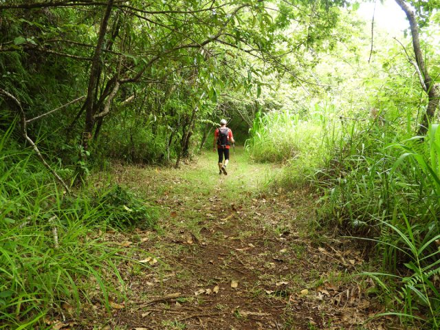 Le sentier se transforme doucement en piste herbeuse