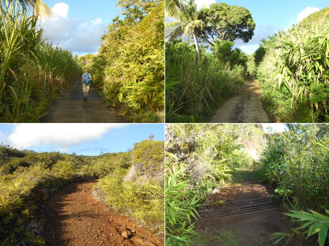 Quelques portions de la route et de la piste