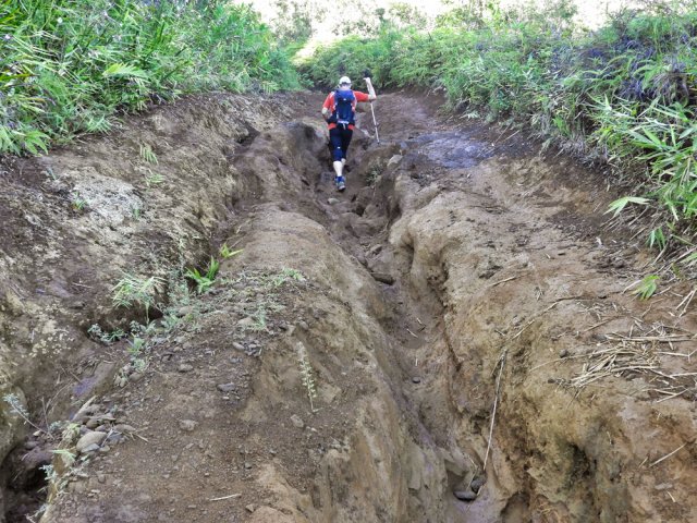 Portions très ravinées et souvent glissantes. Le bâton est utile