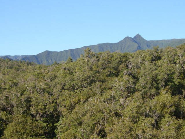 Les Deux Mamelles à la fin du massif du Grand Battoir