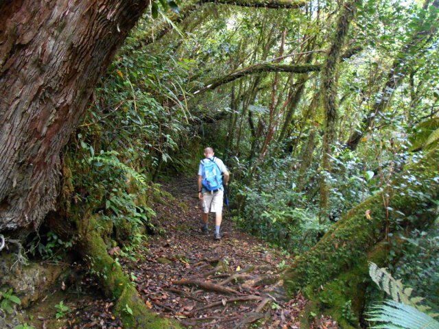 Début du sentier de l'Eden dans les bois de couleurs