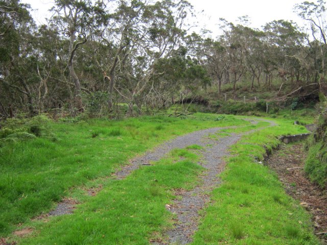Remonter la piste est plus fastidieux mais la verdure demeure