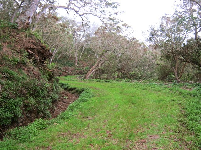 Une autre portion de la piste, plate, herbeuse et agréable