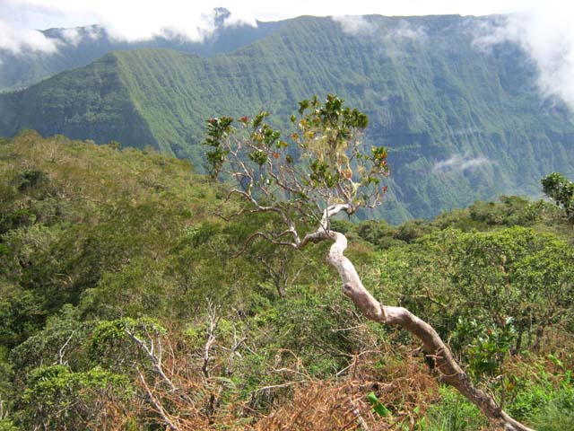 L'Ilet Alcide depuis le sentier de retour. En face, le Cap Noir