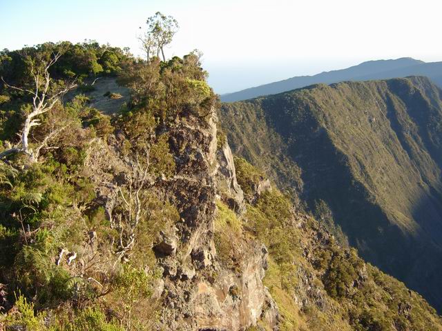 Le Piton Fougères au-dessus des Orangers