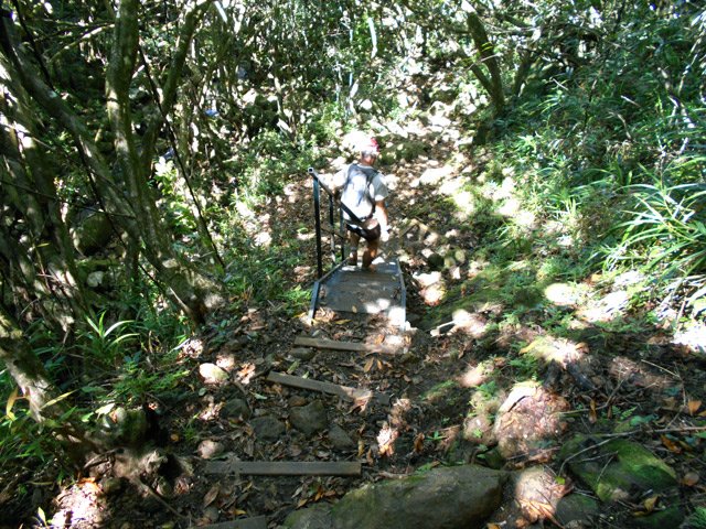 Poursuite de la descente vers la petite route