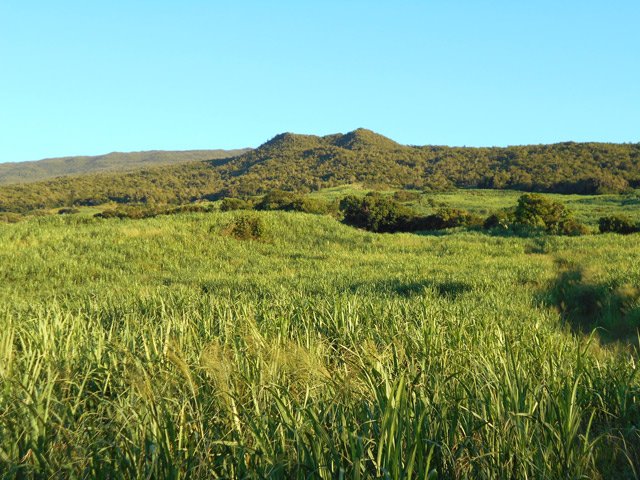 Vastes panoramas sur la canne et le Piton d'Arzule