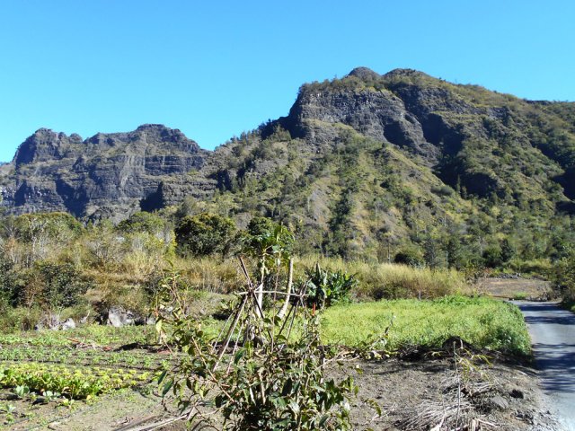 Panoramas sur le Piton Morel et le Morne de Gueule Rouge depuis le Chemin Morel