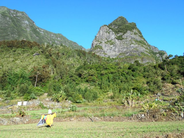 Les lentilles prédominent désormais dans le cirque