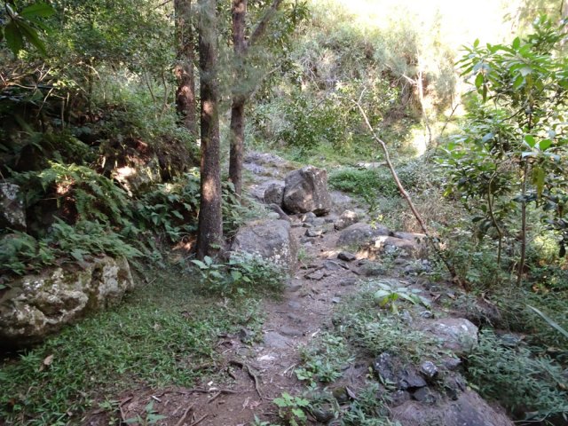 Début du sentier rocailleux vers l'Îlet à Bourse