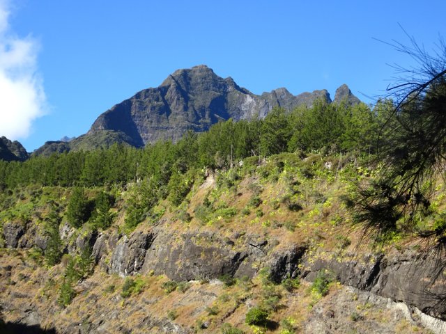 La très rocheuse vallée de la Grande Ravine dominée par le Morne de Fourche