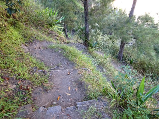 Lacets courts et serrés pour rejoindre la Grande Ravine