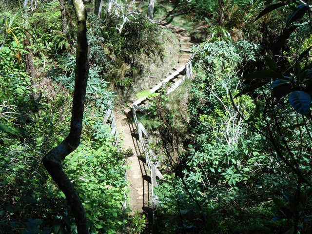 Le sentier vers le Gîte de Bélouve franchit plusieurs ravines