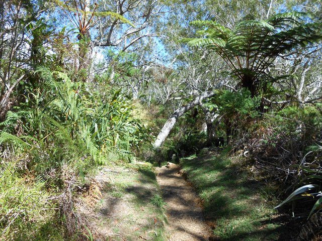 Belle végétation sur les deux sentiers