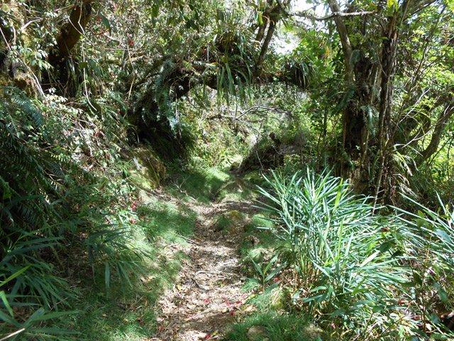 Une courte partie du sentier de la Vierge