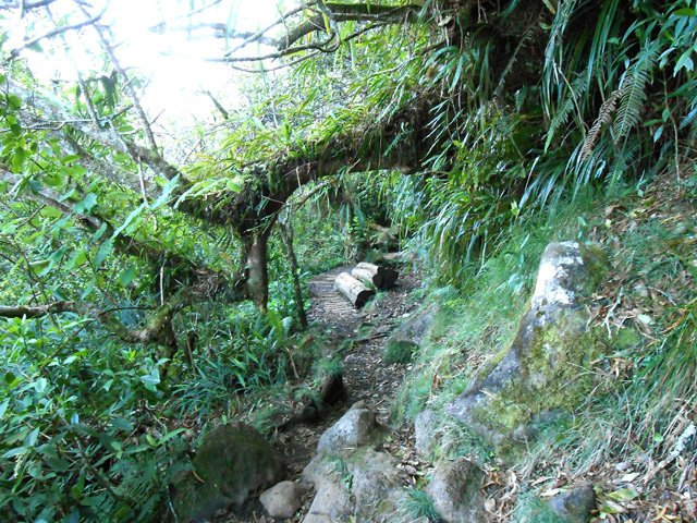 Portion peu boueuse du sentier