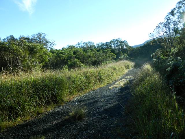 Très agréable Allée Cavalière au lever du soleil