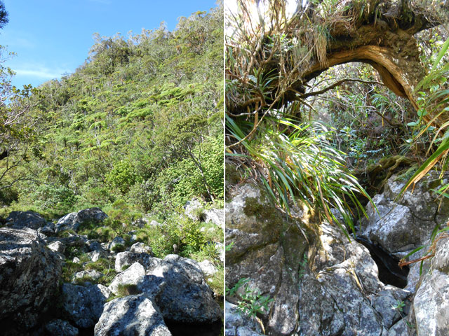 Le lit du Bras de Caverne, à sec et un renfoncement en rive droite