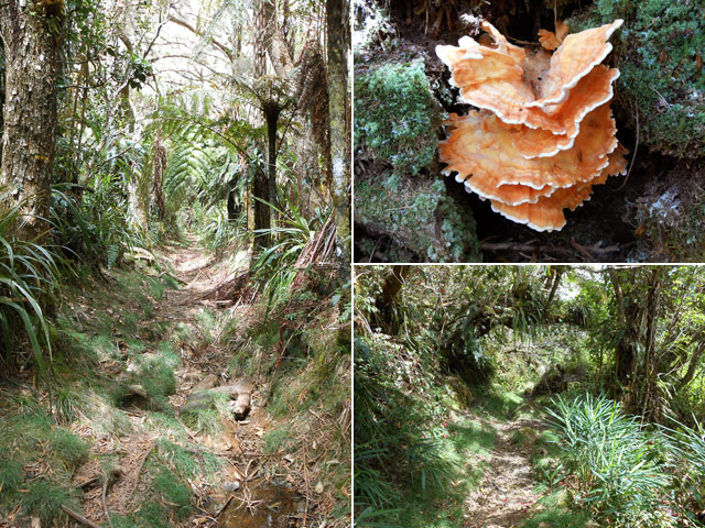 Le tout aussi agréable Sentier de la Vierge