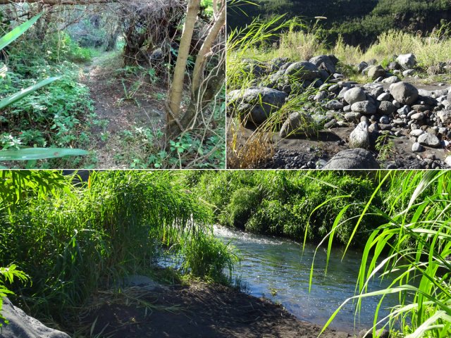Longer la rive droite vers l'amont lorsque l'on arrive au Bras en eau
